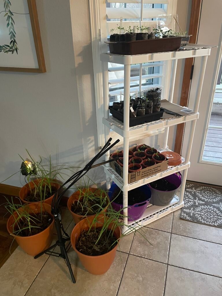 Waiting can be hard - but if you flip your perspective, "you can turn your waiting room into a class room" (Jess Sowards). I firmly believe this and hope you find purpose from this week's post.