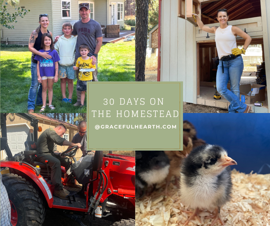 Our 30 first days on the homestead - lessons learned and what's in store for the next 30 days.