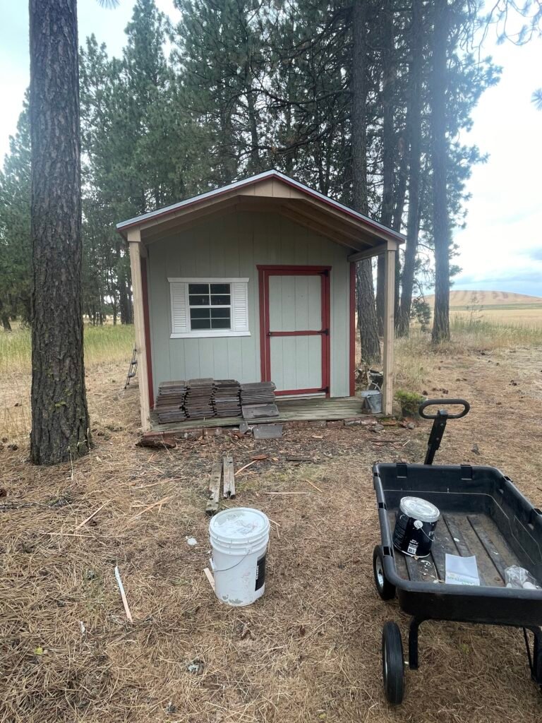 The before picture