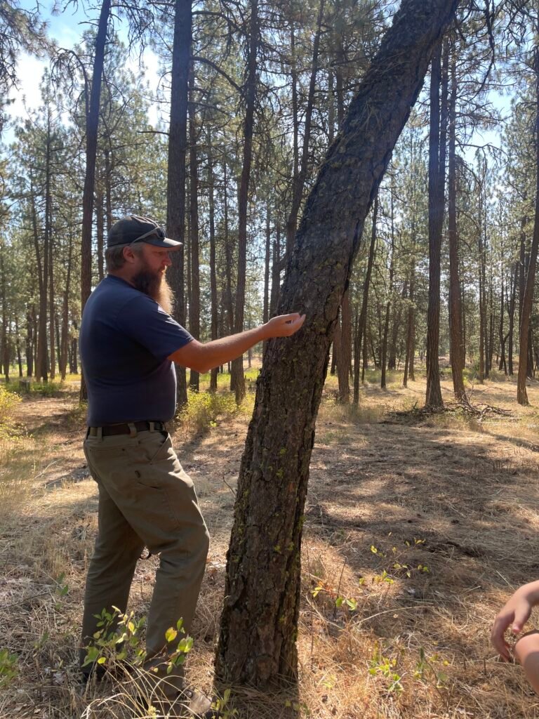 The Department of Natural Resources came out to look at our property.