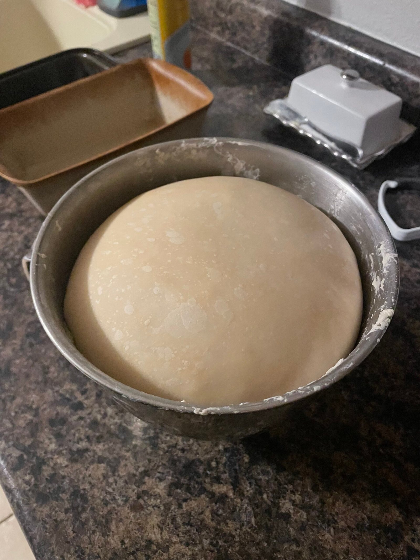 Pizza Dough Rising