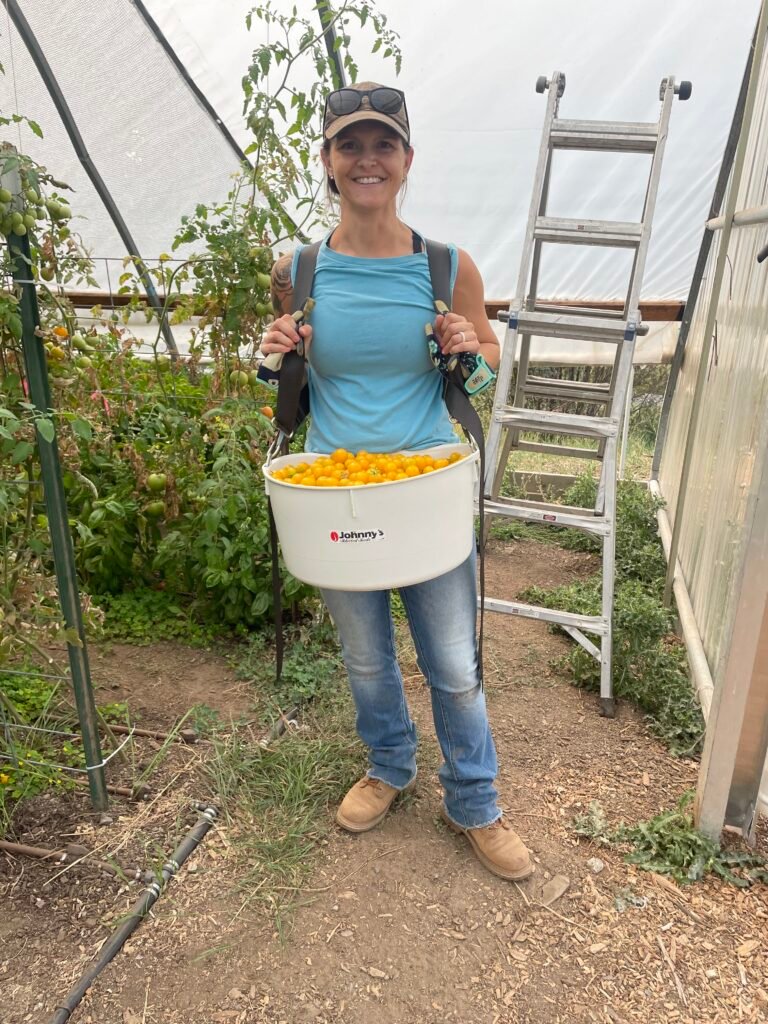 I started my internship at Vets on the Farm this week. We picked green beans, peppers, and tomatoes. We also package veggies for the VOTF farm stand. This is definitely my element and I'm excited to see what this program yields.