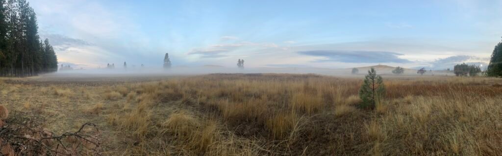 Fog settled over the property this week. Even so, my message this week was clear as day.
