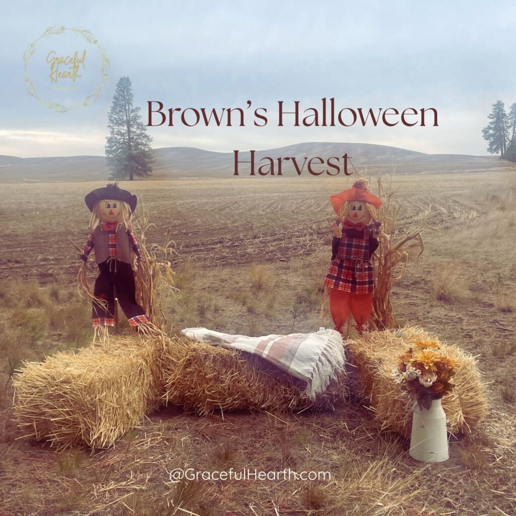 Scarecrows overlook our property