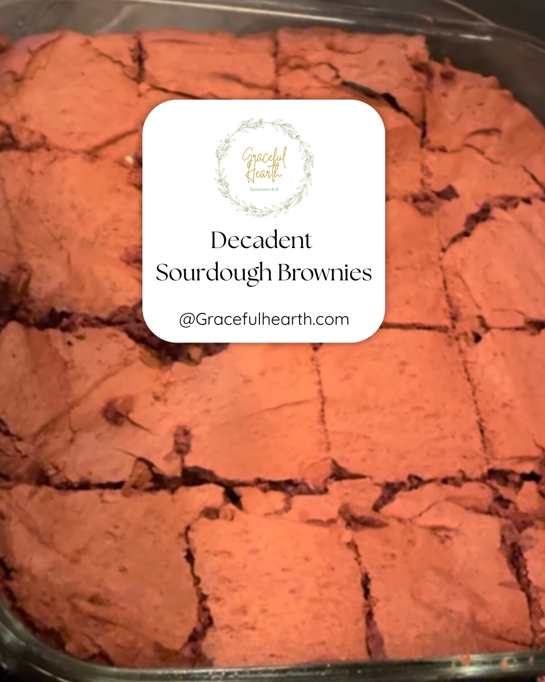 Christmas Sourdough Brownie