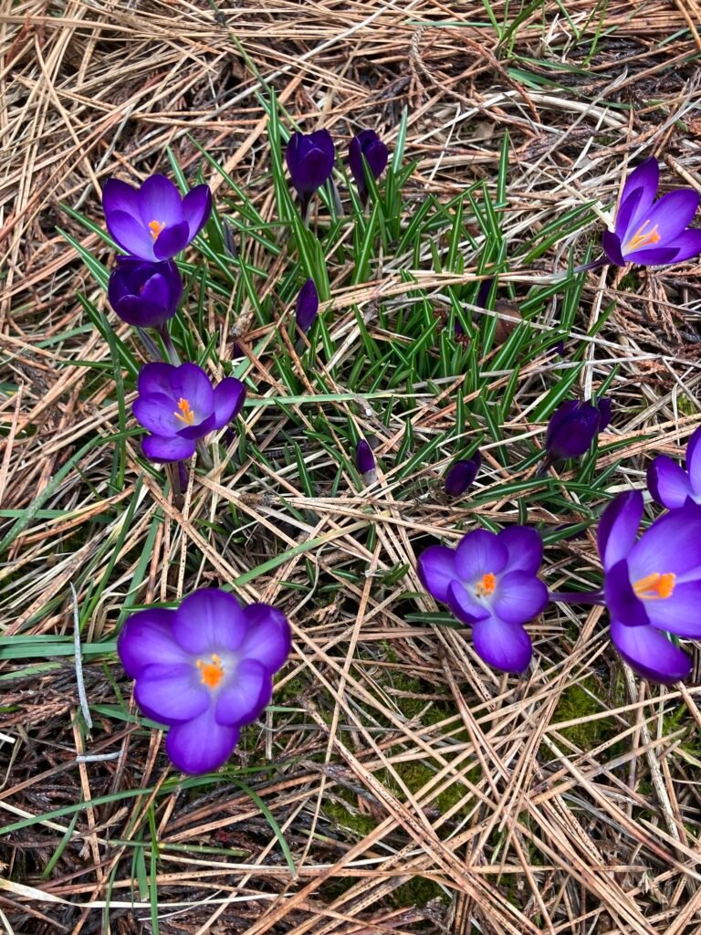 Spring is coming to life